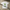 Silk Road Promo White TShirt