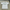 90's Chateau Marmont Rare Washed White T-Shirt